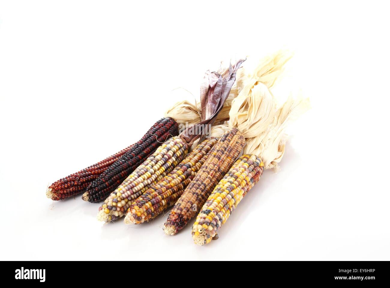Indian corn on the cob hires stock photography and images Alamy