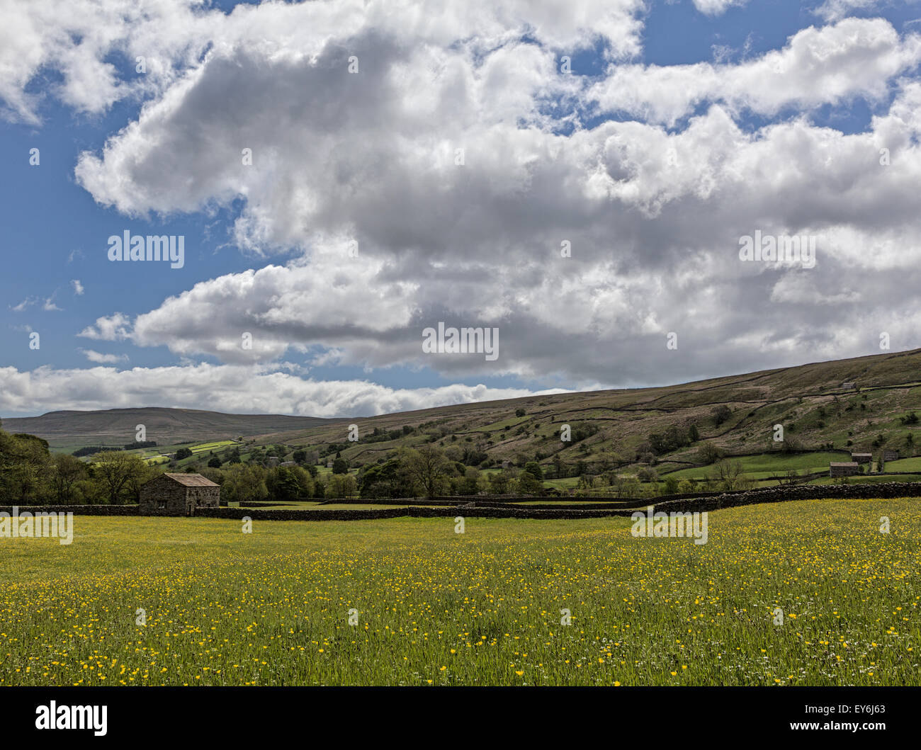 Hay meadows at Muker, Swaledale Stock Photo