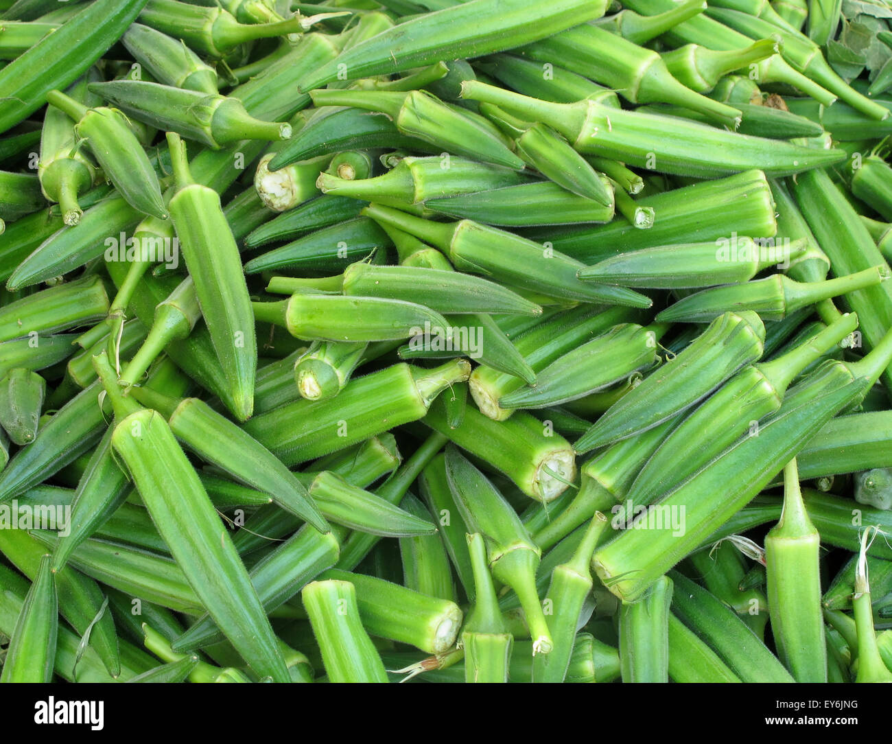 Full frame of okra Stock Photo