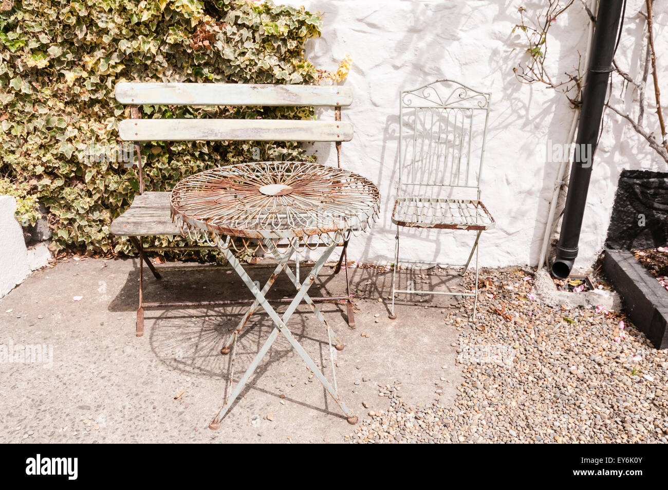 table tennis trainers