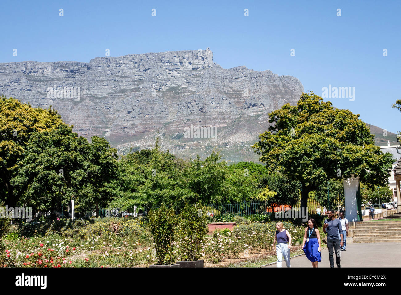 Cape Town South Africa,City Centre,center,Government Avenue,The Company's Garden,public park,Table Mountain National Park,Black man men male,SAfri1503 Stock Photo