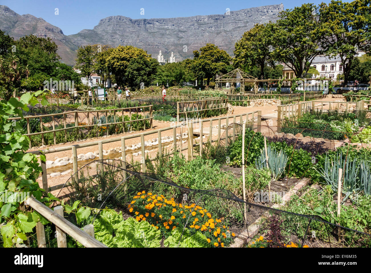 Voc vegetable garden hires stock photography and images Alamy