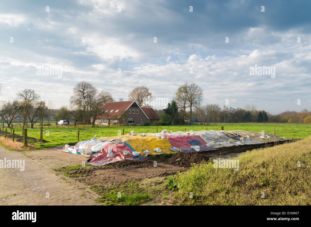 silage food covered with colorful plastic Stock Photo