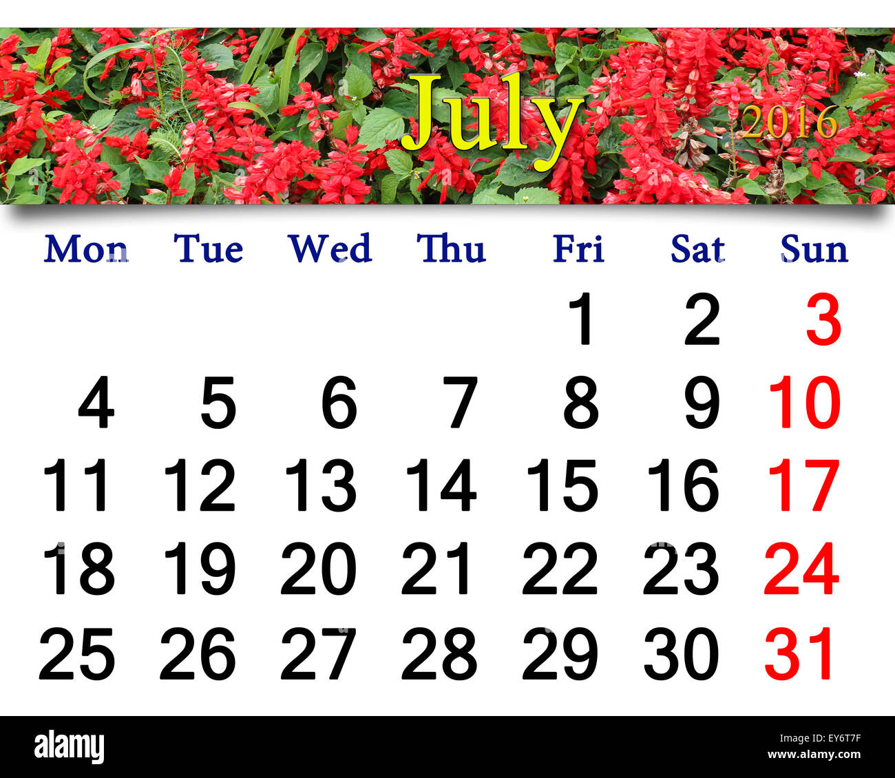 calendar for July 2016 with ribbon of red salvia Stock Photo