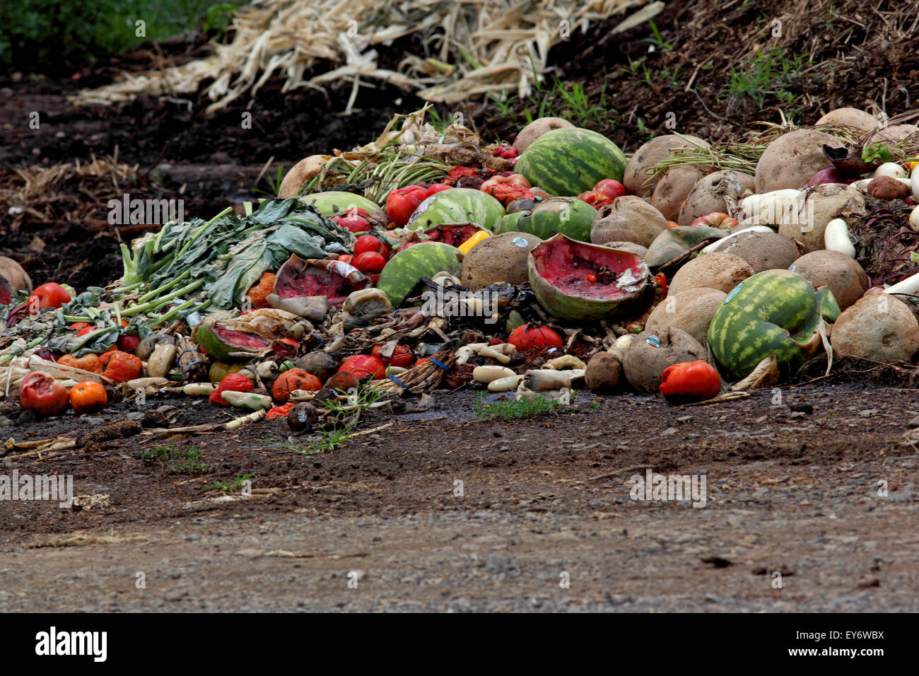 Compost pile of fruits and vegetables Stock Photo Alamy