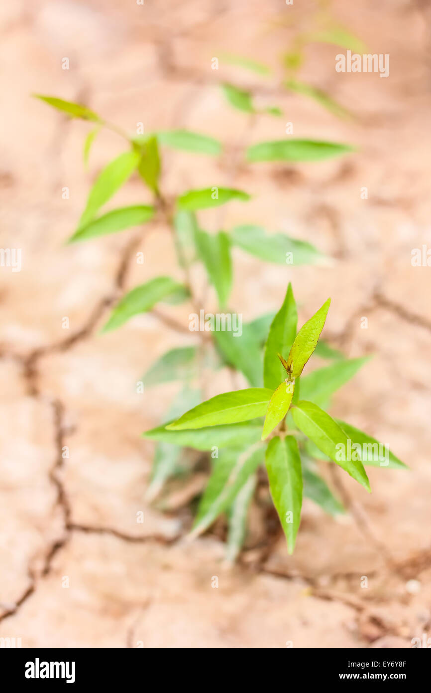 Pile soil hi-res stock photography and images - Alamy