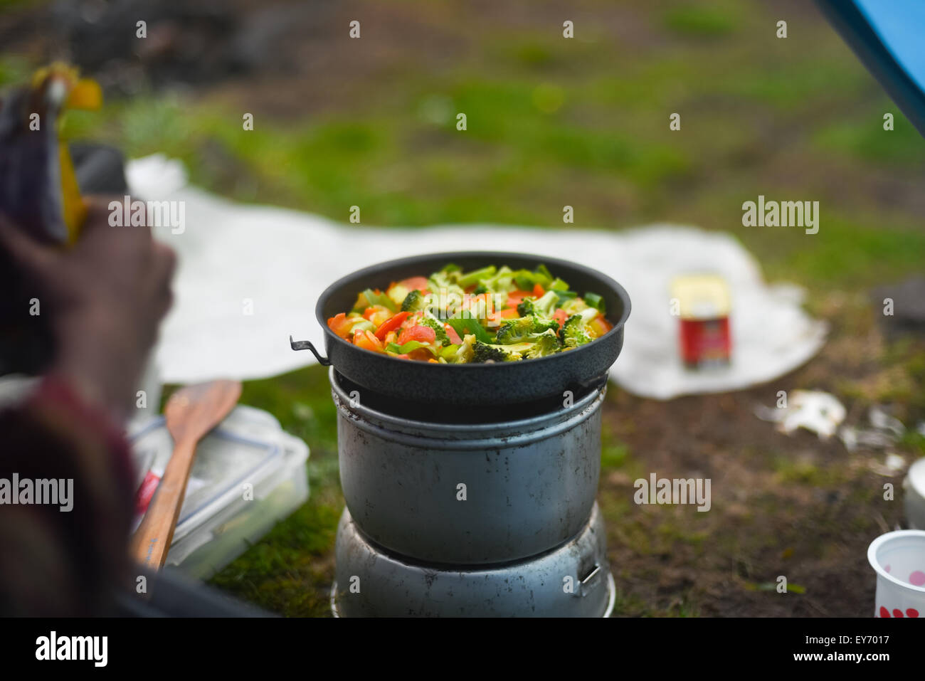 Cooking mixed vegetables while camping Stock Photo Alamy