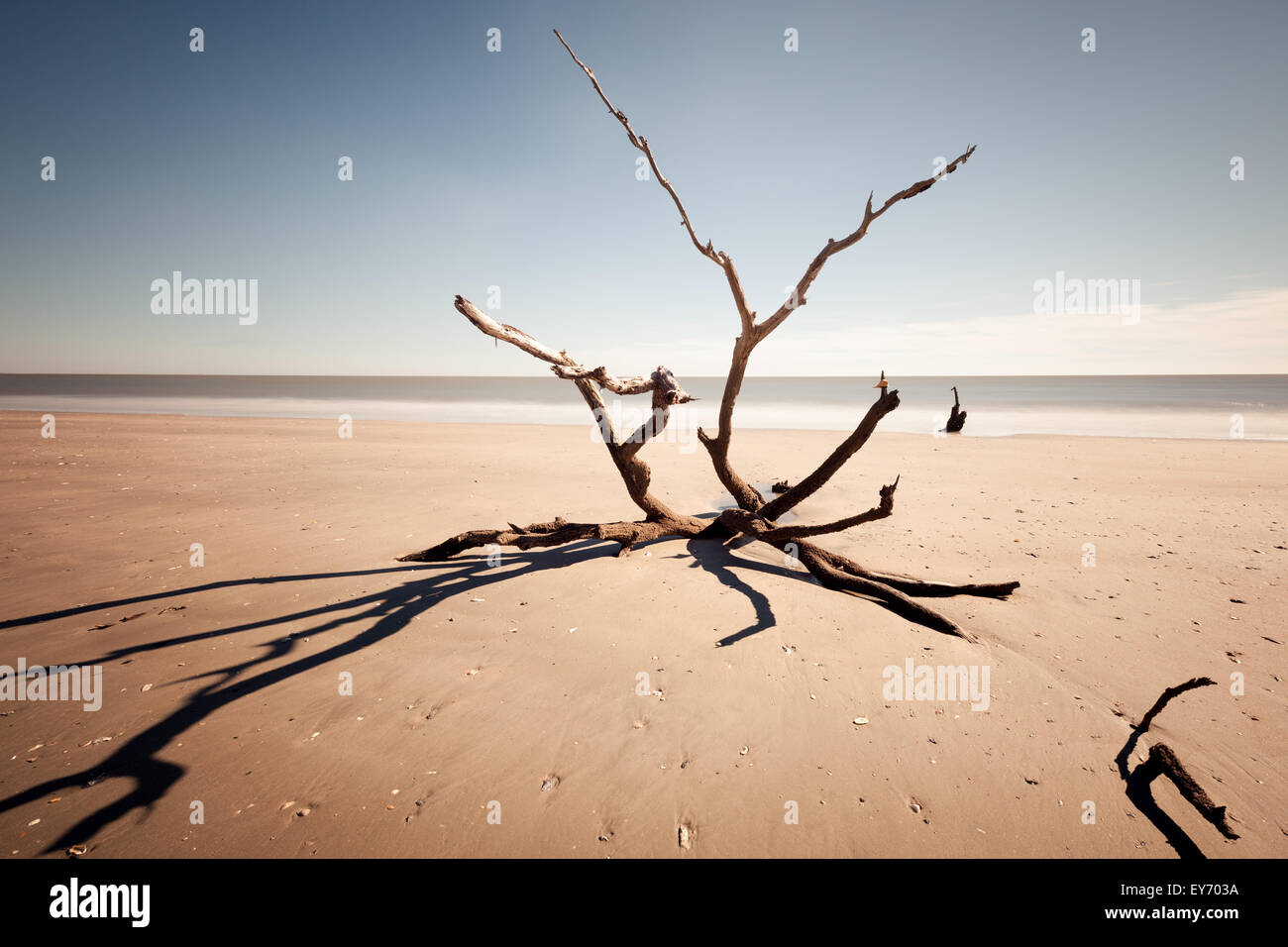 Botany Bay beach, Edisto Island, South Carolina, USA Stock Photo Alamy