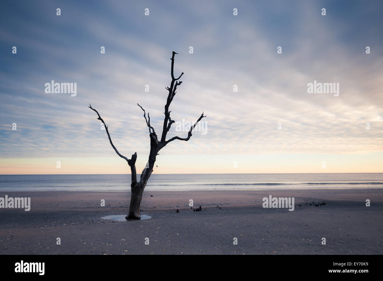 Botany Bay beach, Edisto Island, South Carolina, USA Stock Photo Alamy