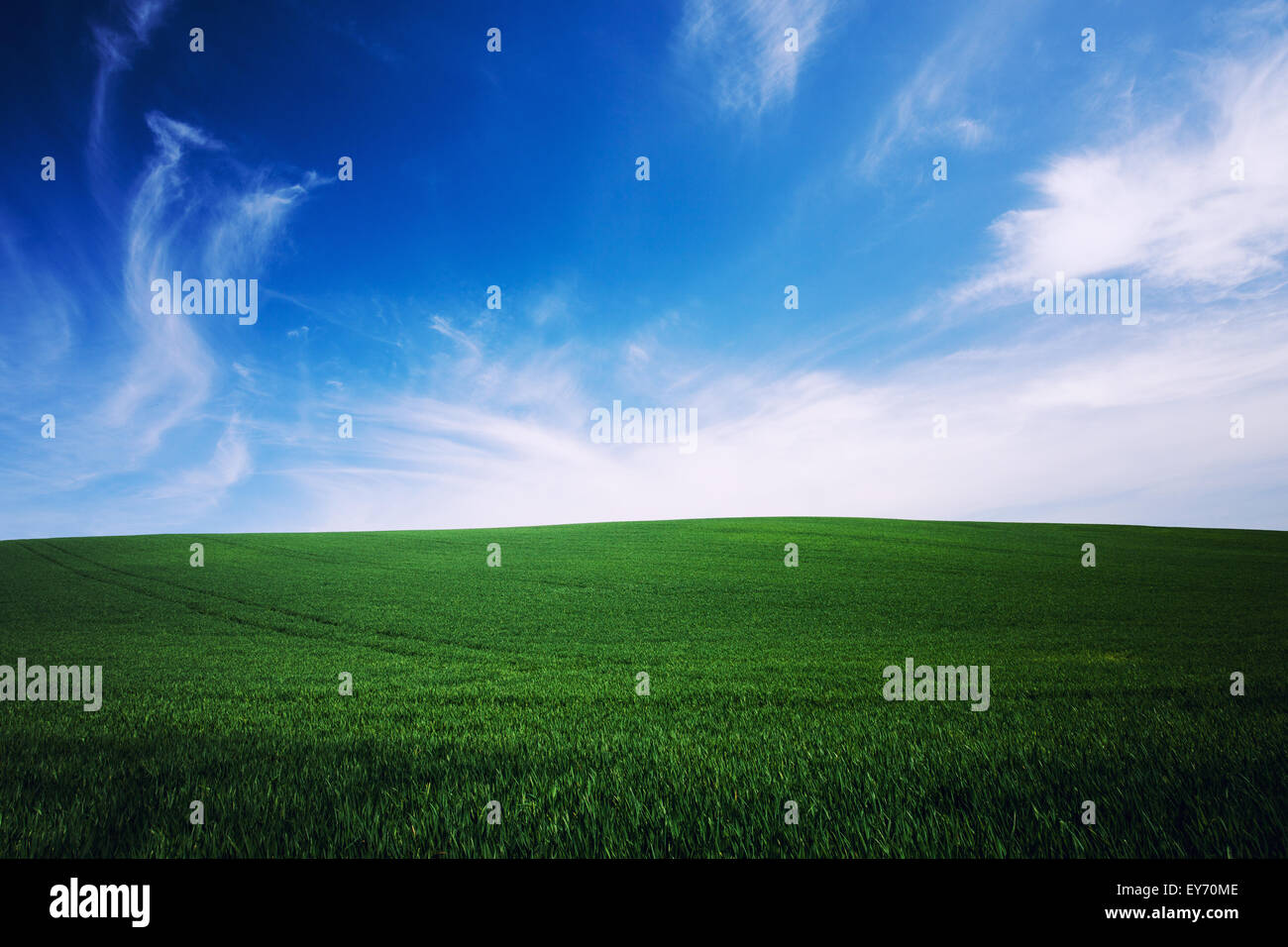 green grass and blue sky background Stock Photo - Alamy