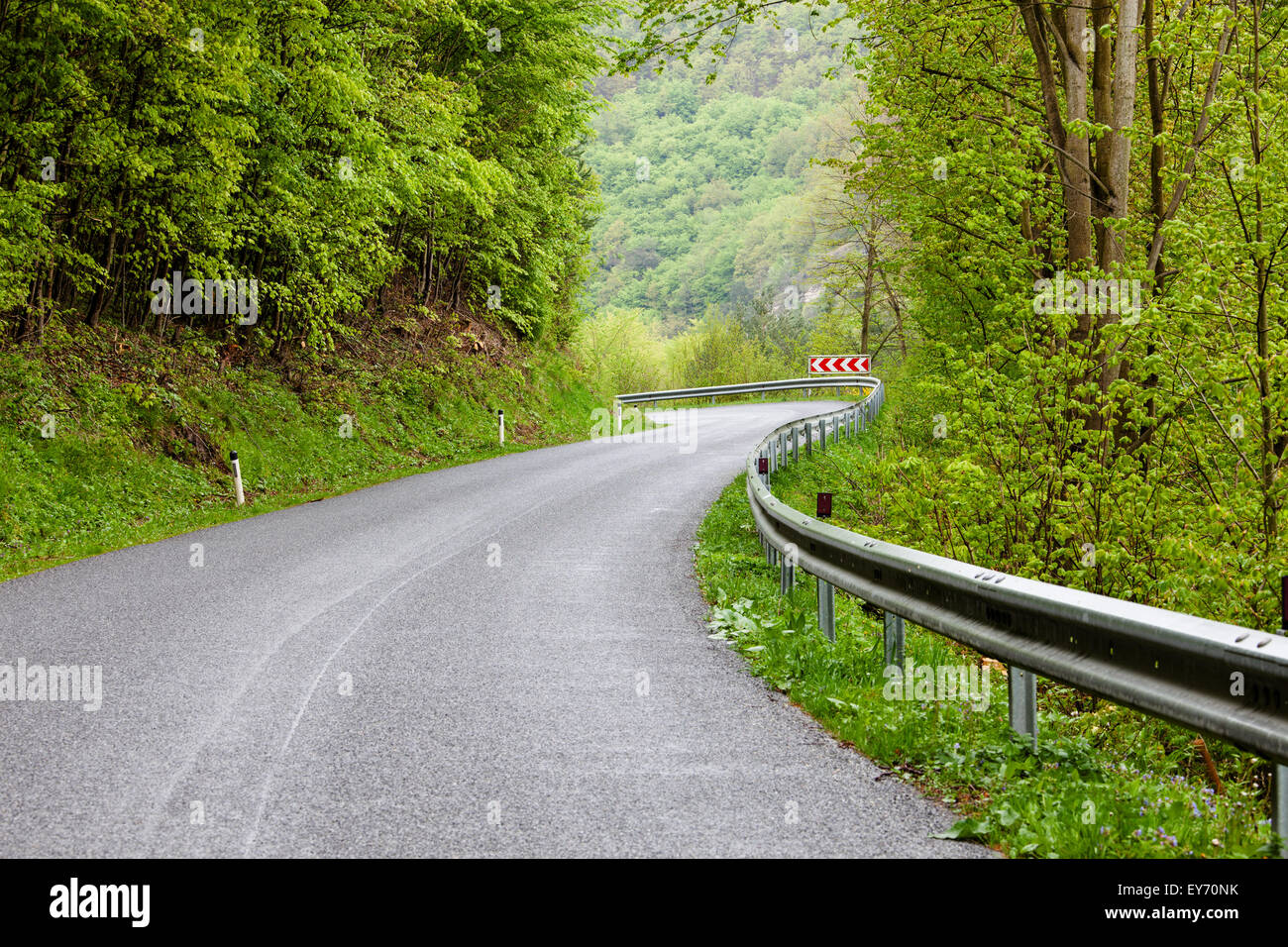 asphalt road through forest Stock Photo - Alamy