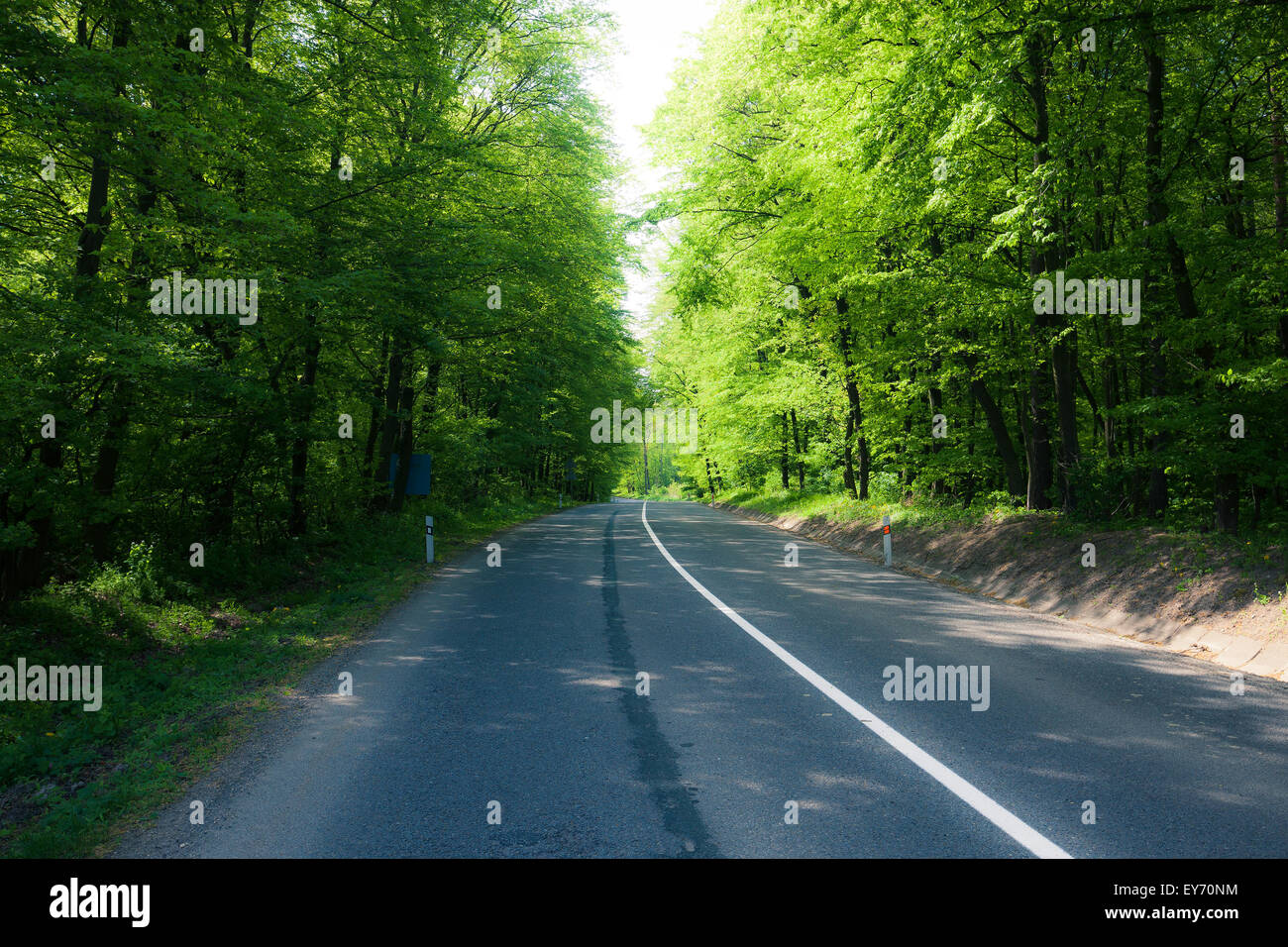 asphalt road through forest Stock Photo - Alamy