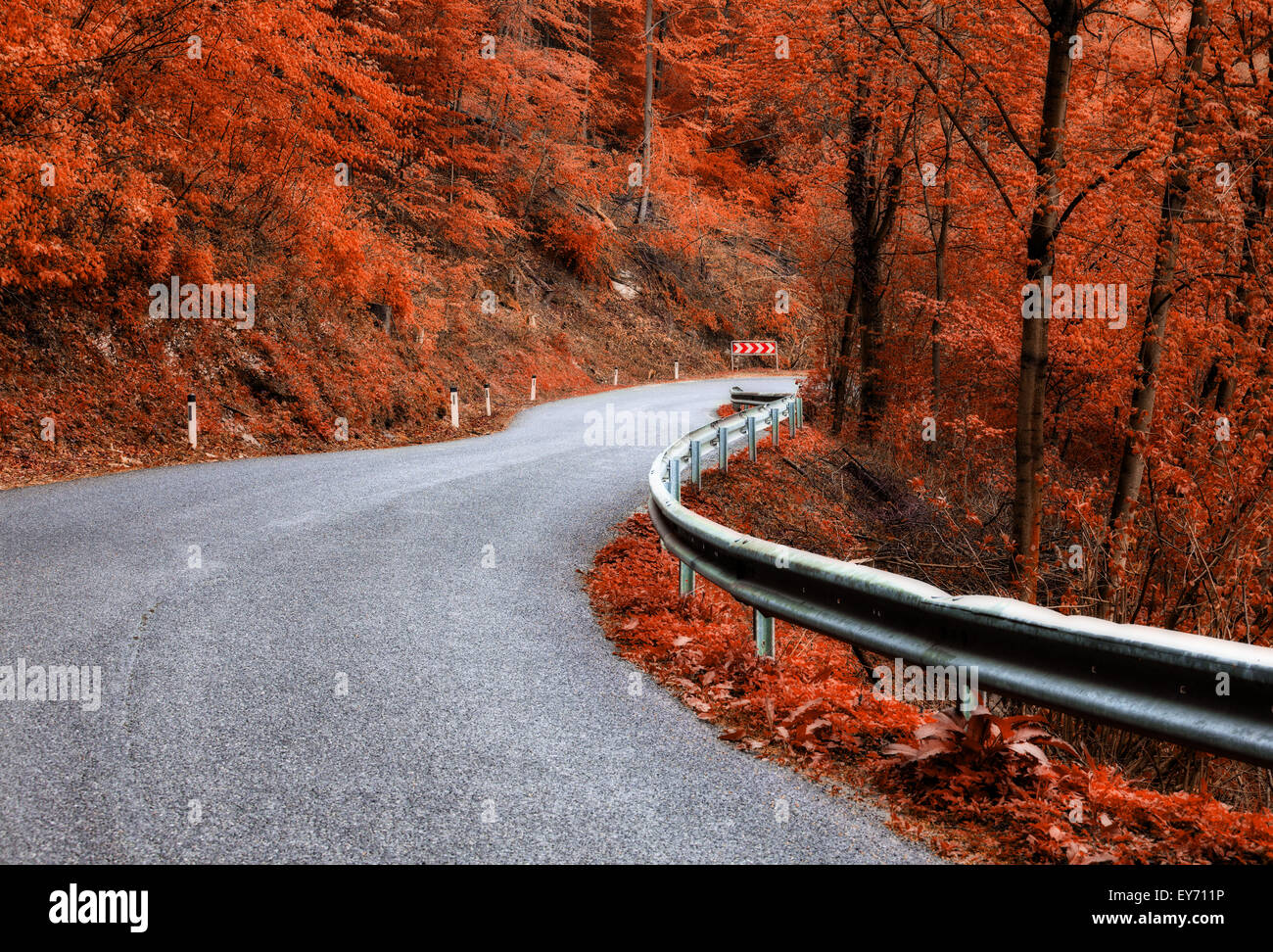 asphalt road through autumn forest Stock Photo - Alamy