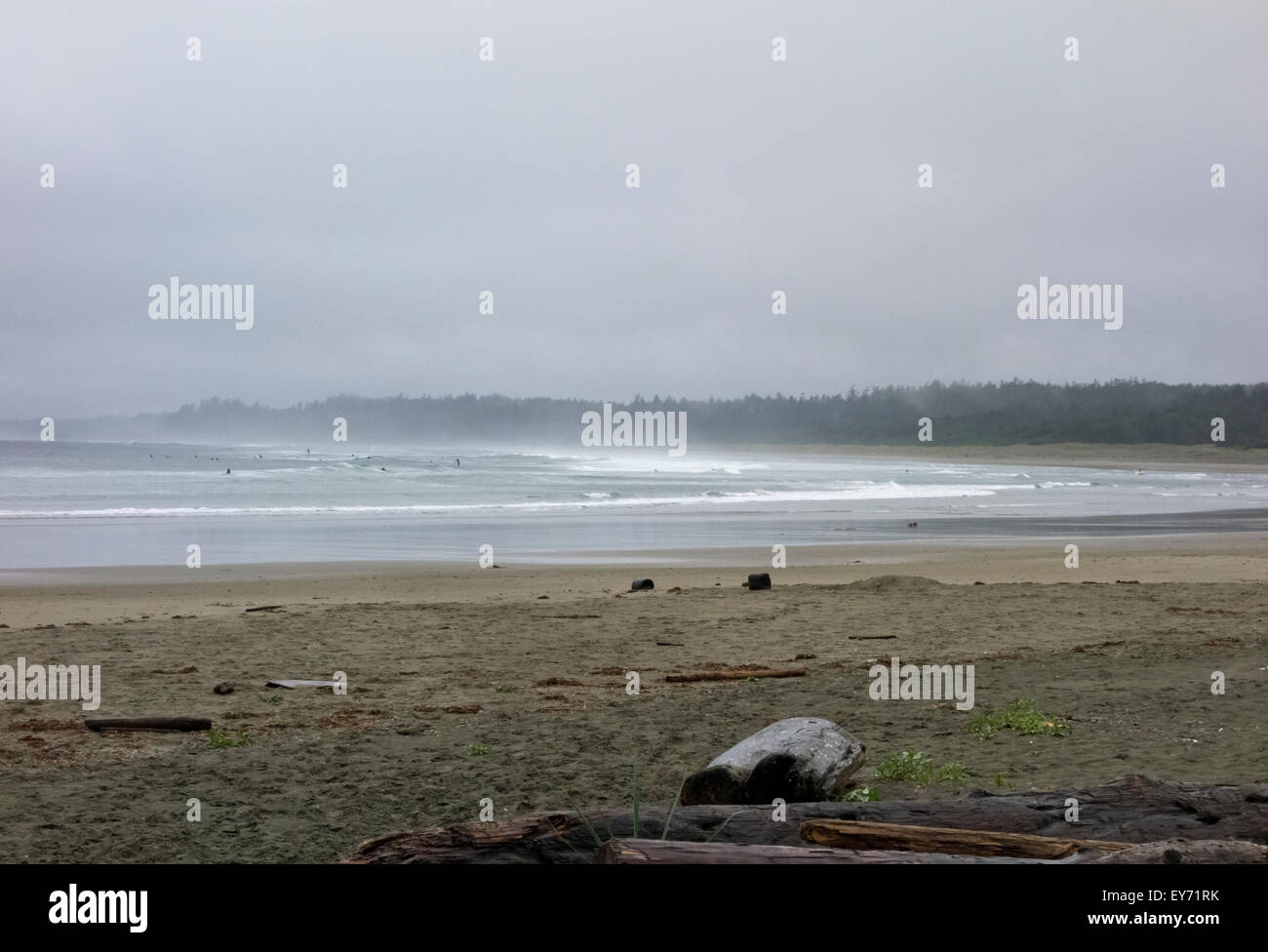 Surfers and stand up paddle boarders in the stormy misty ocean on a rainy afternoon at Long Beach on Vancouver Island, BC. Stock Photo