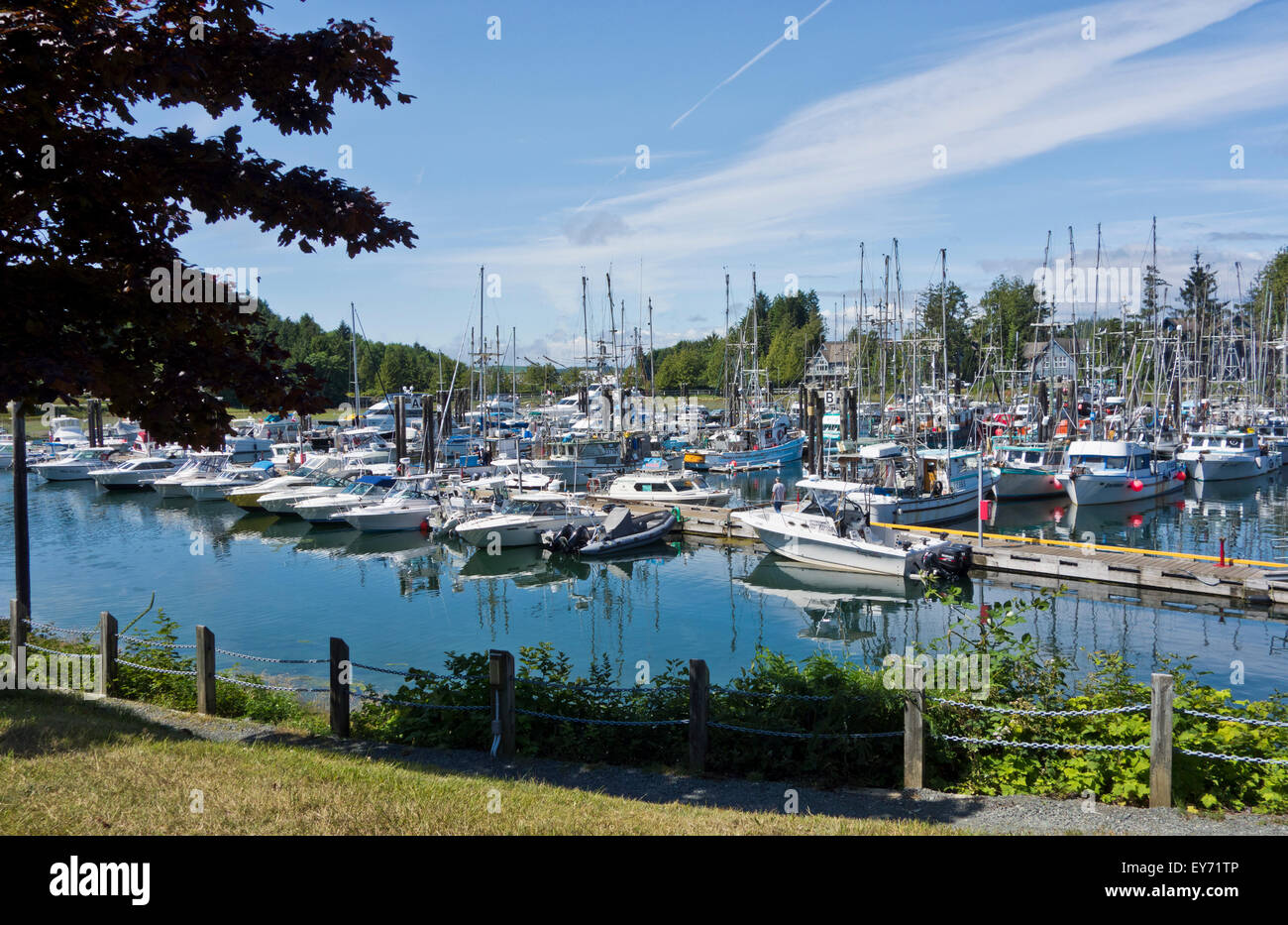 Ucluelet harbour and Marina.  Vancouver Island, British Columbia, Canada Stock Photo