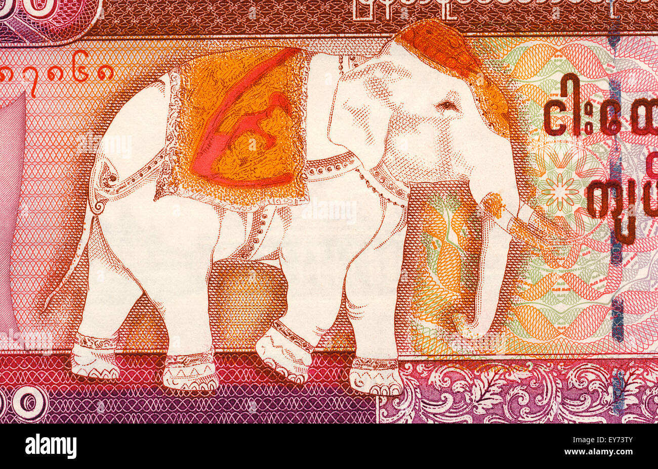 Close up detail of an elephant on a 5000 Kyats banknote from Myanmar (Burma). Stock Photo