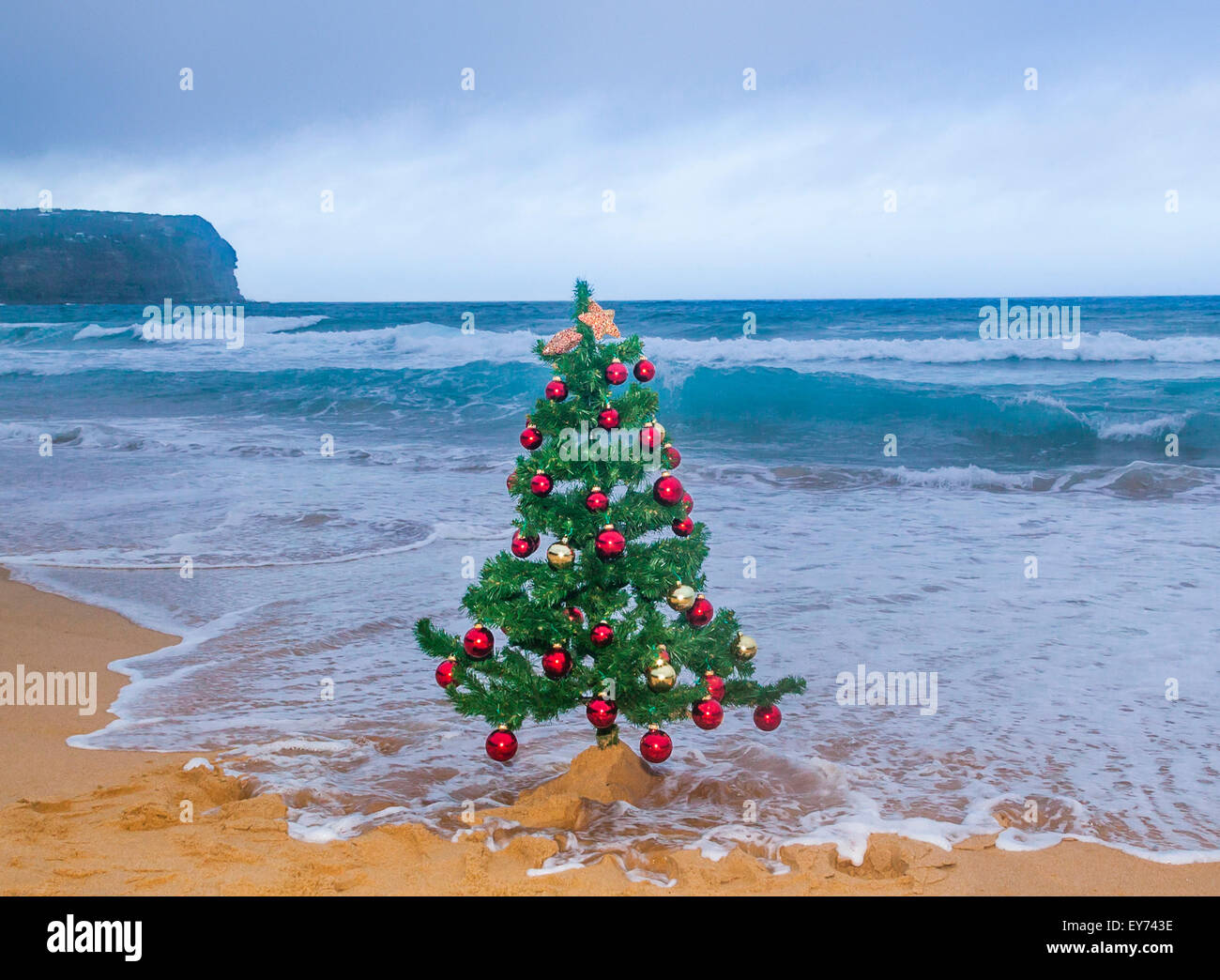 christmas at the central coast of new south wales macmasters beach stock image - Christmas At The Beach christmas at the central coast of new south wales macmasters beach stock image - Christmas At The Beach