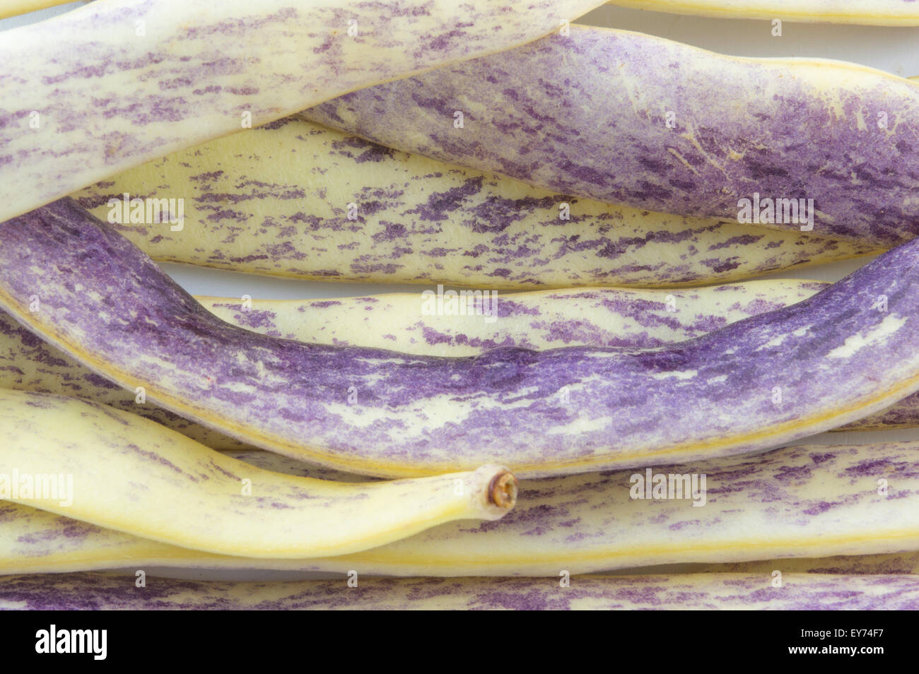 Purple beans closeup forming background Stock Photo