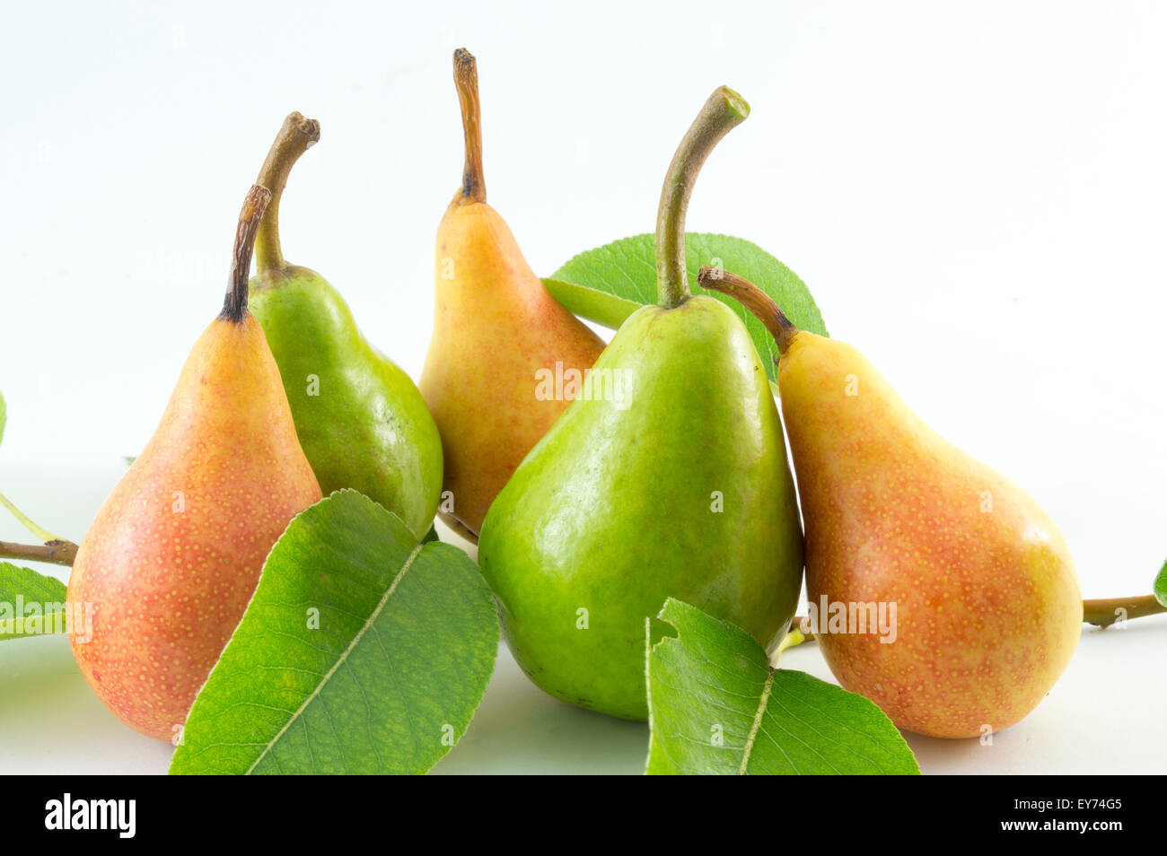 Green and orange pears and a natural pear  branch on white backgrround Stock Photo