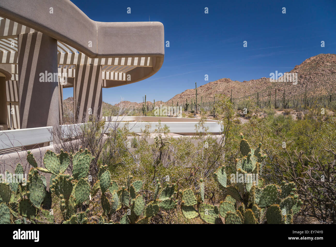 The Saguaro National Park Visitors Center near Tucson, Arizona, USA. Stock Photo