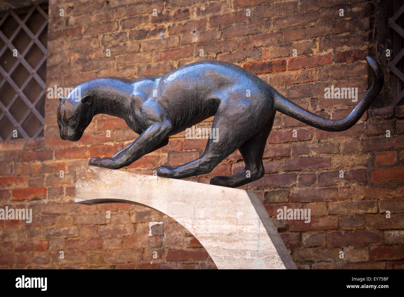 District of the panther in Siena. Tuscany, Italy Stock Photo