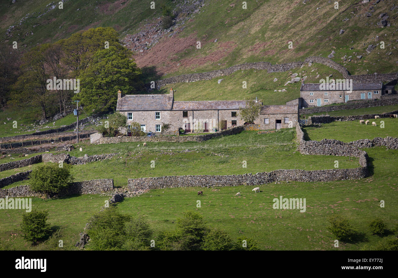 Typical Yorkshire Dales hill farm, near Swaledale UK Stock Photo Alamy