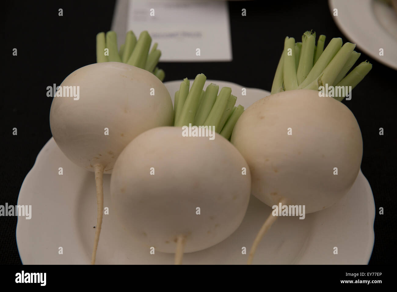 Knutsford, UK. 23rd July, 2015.Prize winning snowball turnips on