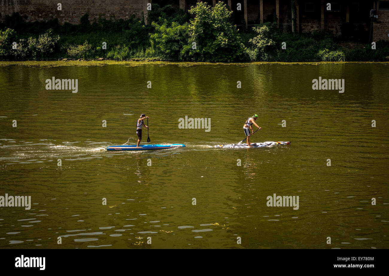 Side view of two men stand up paddleboarding on the river Arno, Florence, Italy. Stock Photo