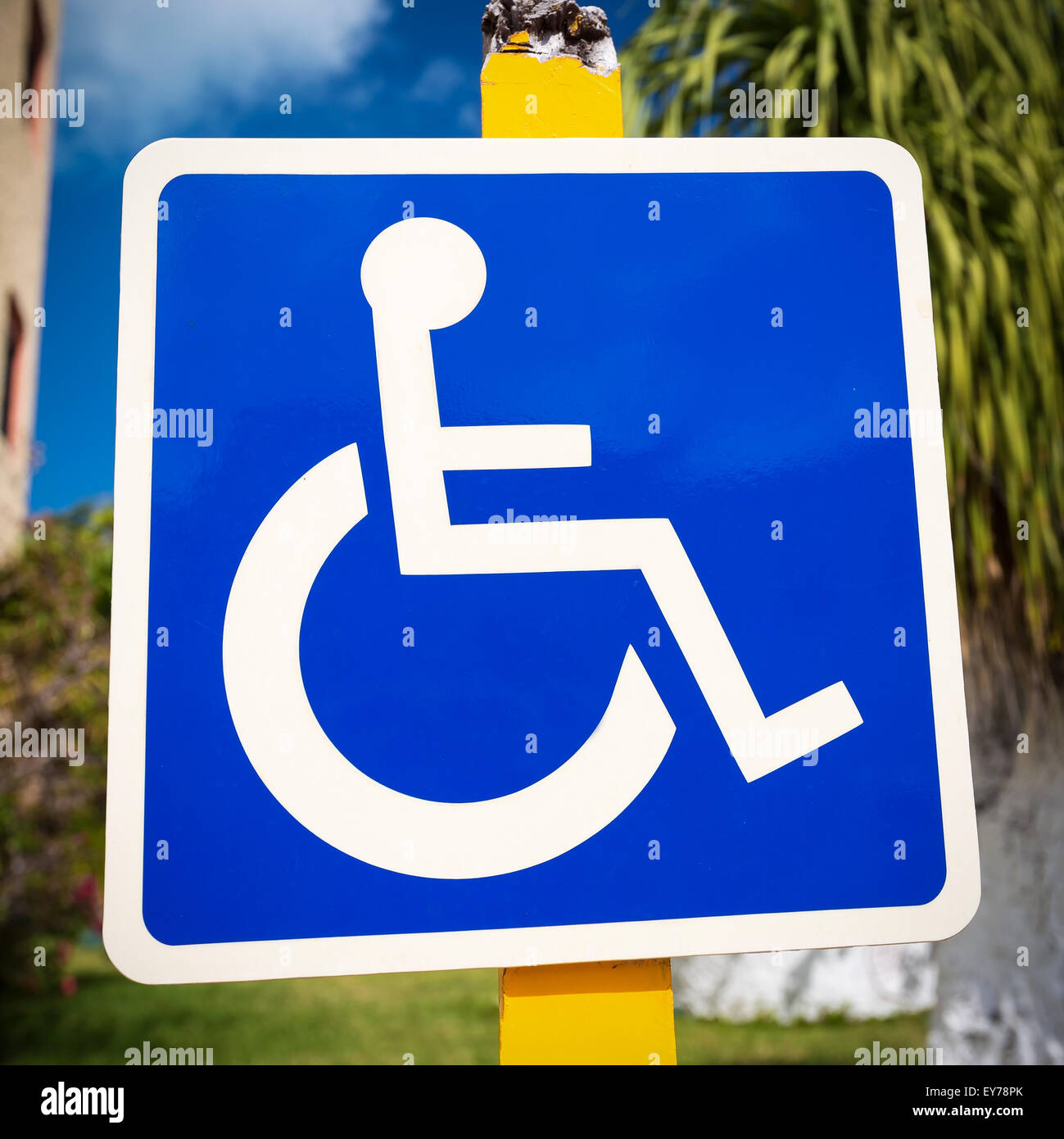Blue handicapped sign with wheelchair, outdoors Stock Photo