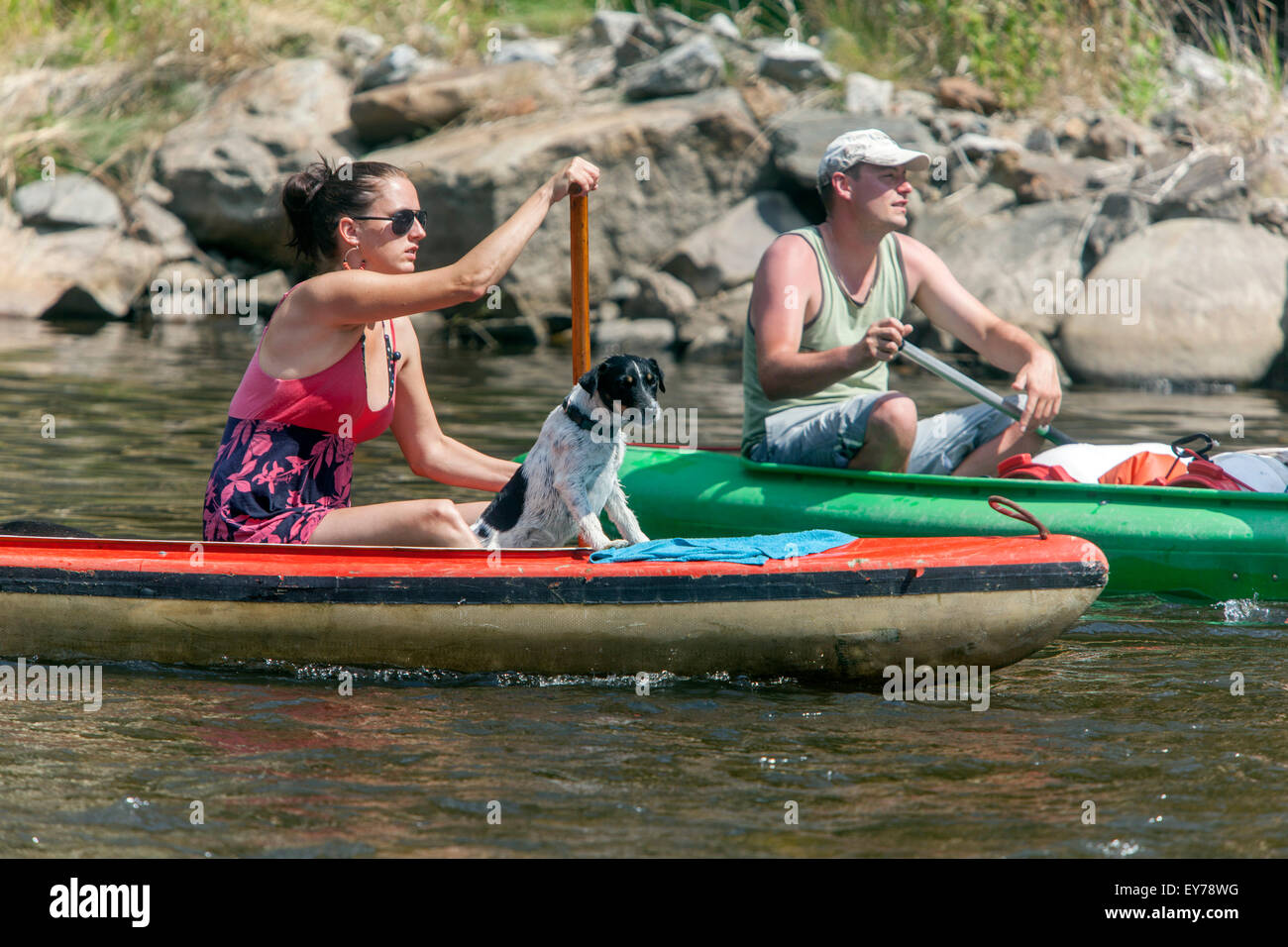 Going down by  the Vltava river, woman canoeing with a dog, South Bohemia, Czech Republic Stock Photo