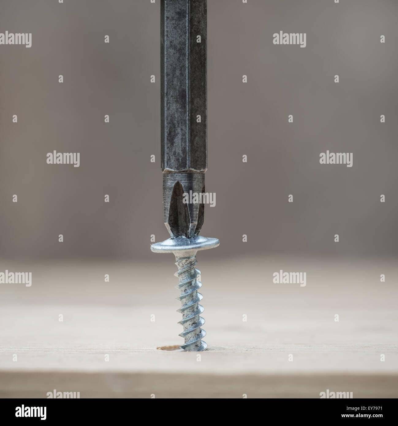 Screwing screw into wooden plank, closeup Stock Photo Alamy