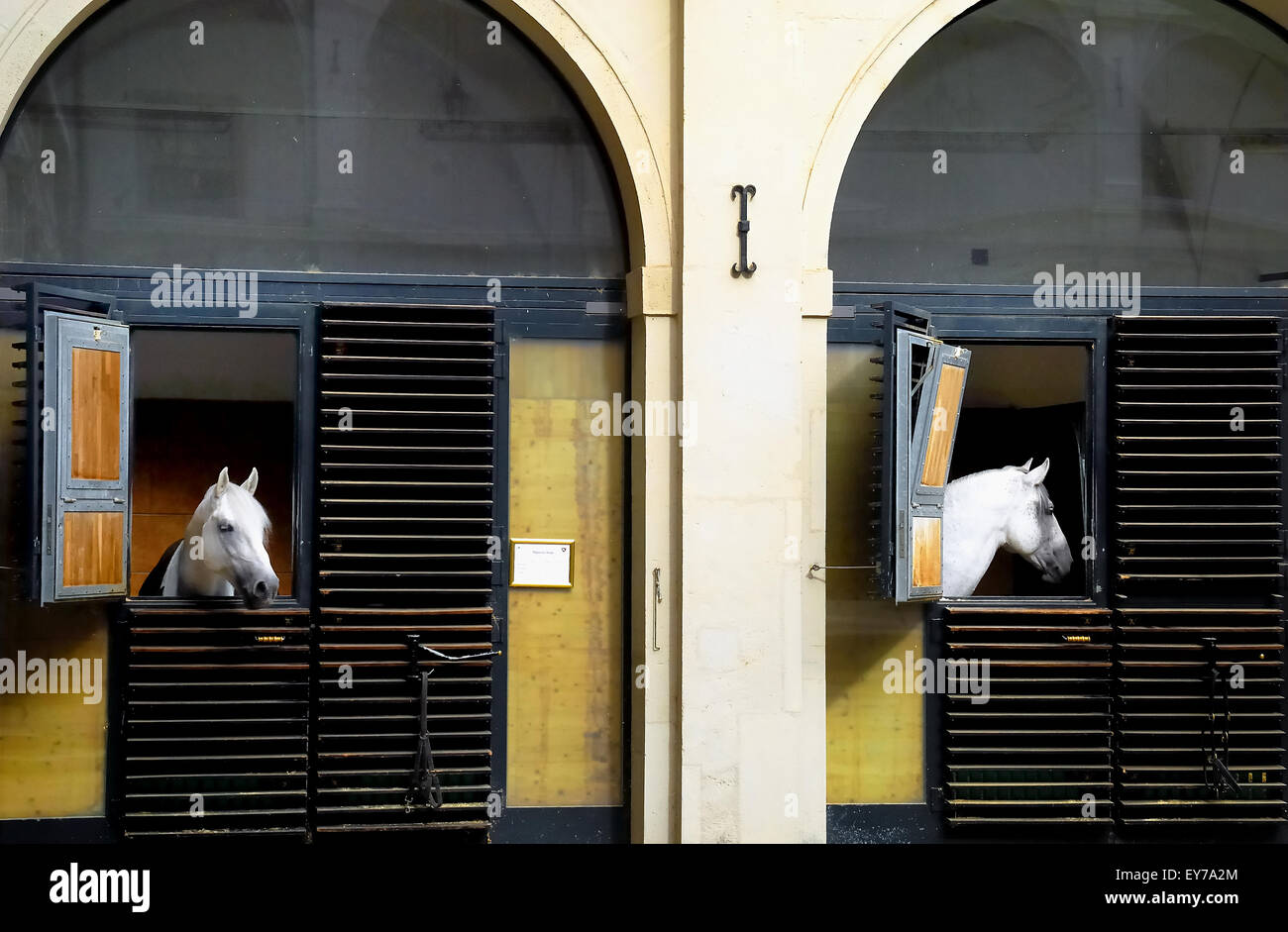 Vienna, Austria. The Spanish Riding School (German Spanische Hofreitschule) is a traditional
