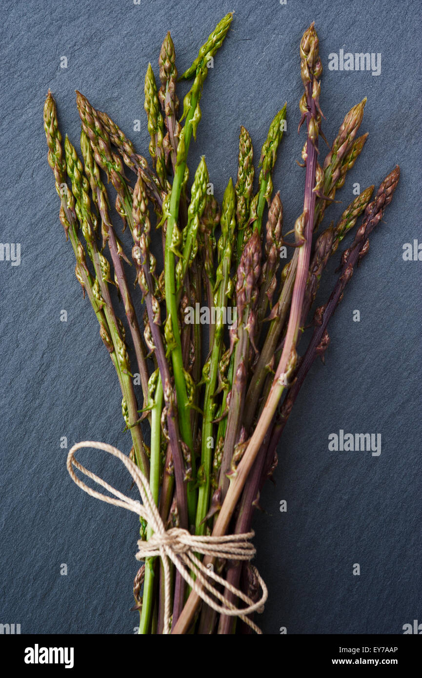 Bunch of wild asparagus Stock Photo