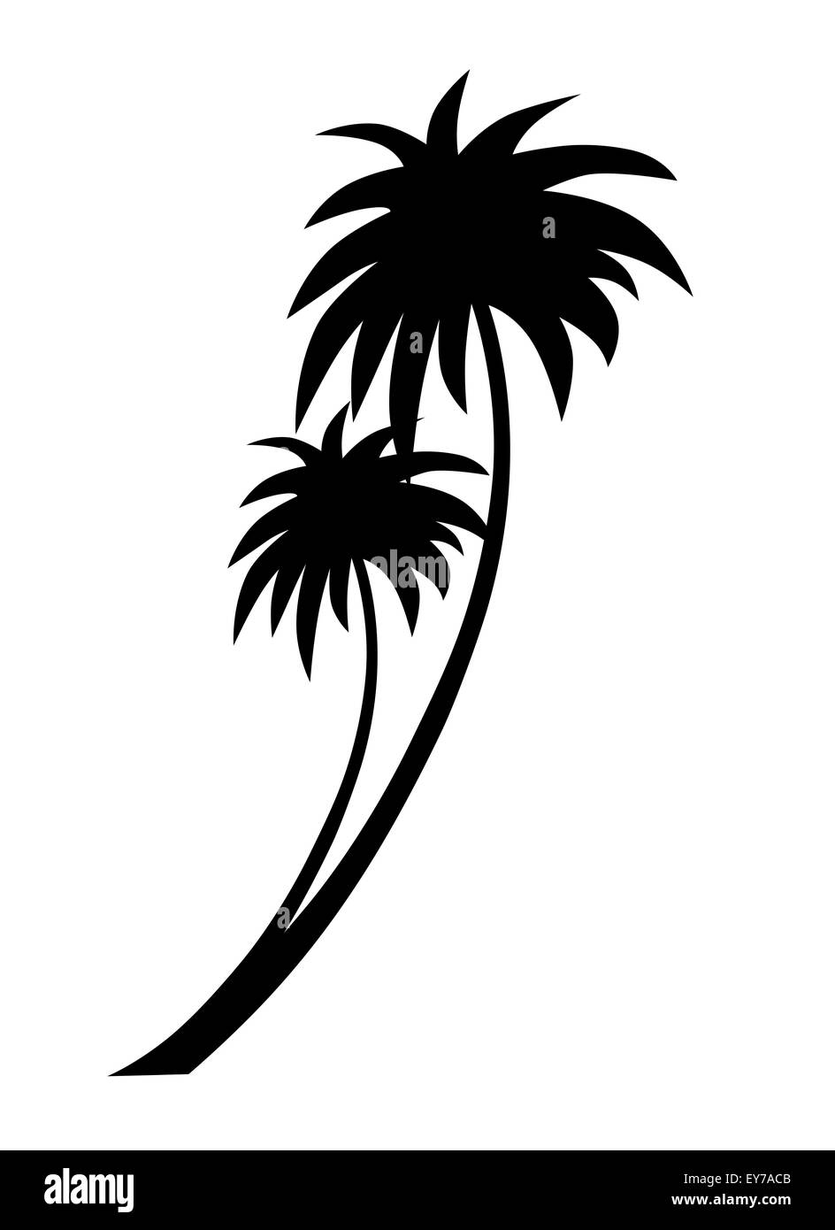 Tropical coconut palm trees silhouette, Illustration on white
