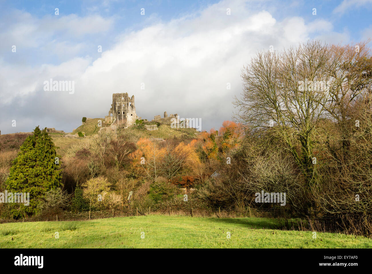 A view across to the historic remains of the 11th century Corfe Castle, built by William the Conqueror in Dorset, England on a winters day Stock Photo