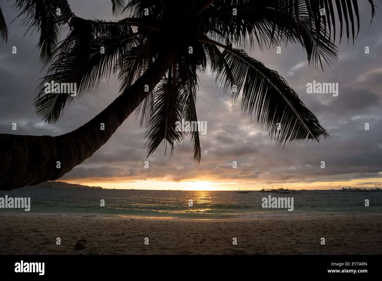 Sunset on tropical beach with palm tree silhouette Stock Photo - Alamy