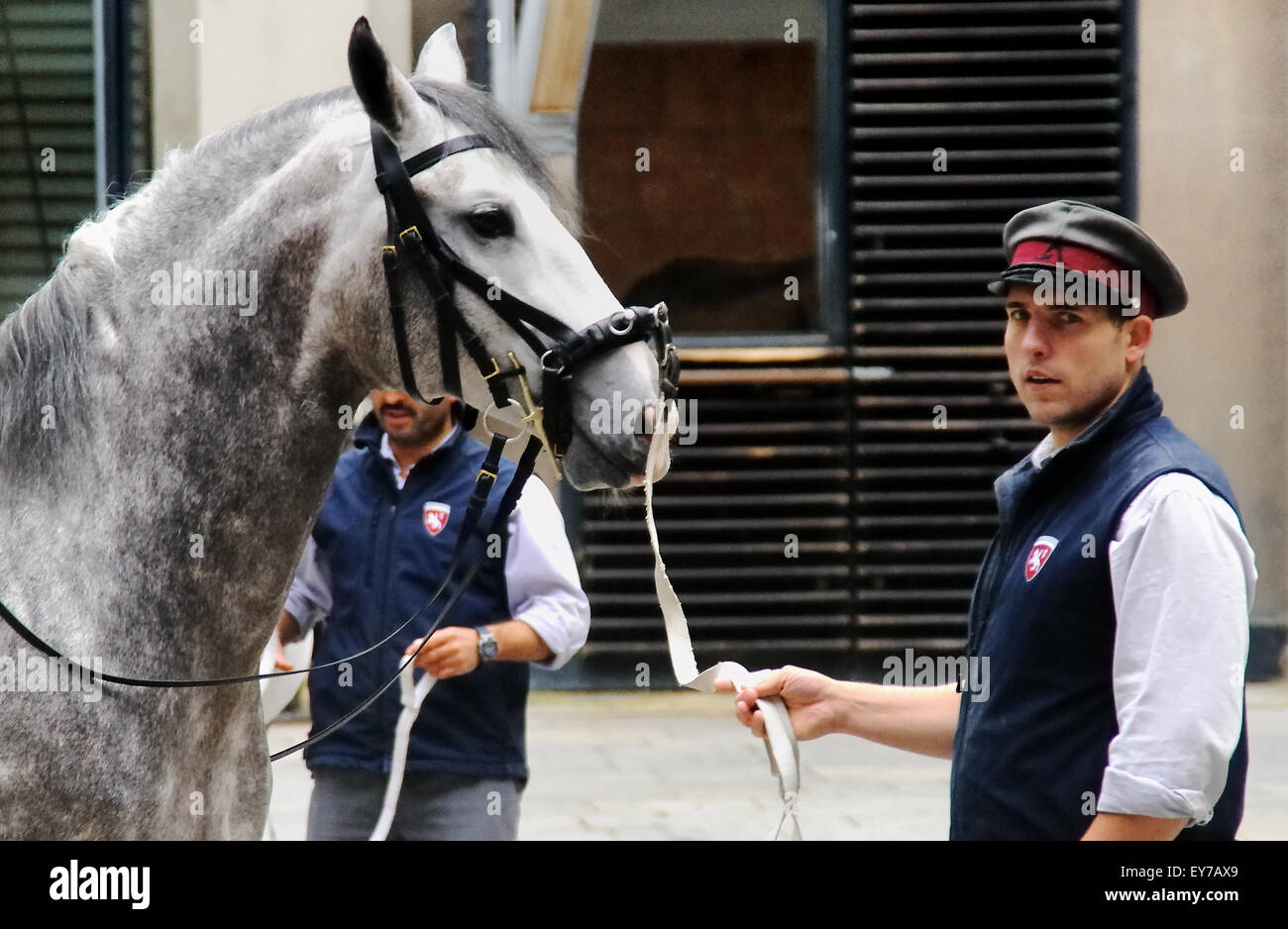 Vienna, Austria. The Spanish Riding School (German Spanische Hofreitschule) is a traditional