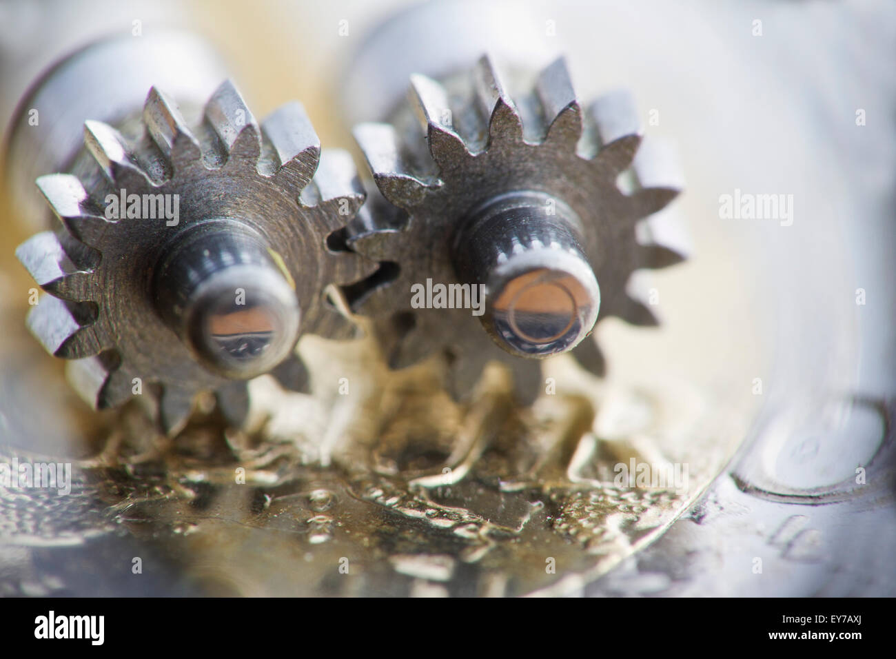 two mini toothed wheels on a Euro-cion, symbolizing connectedness in the EU Stock Photo