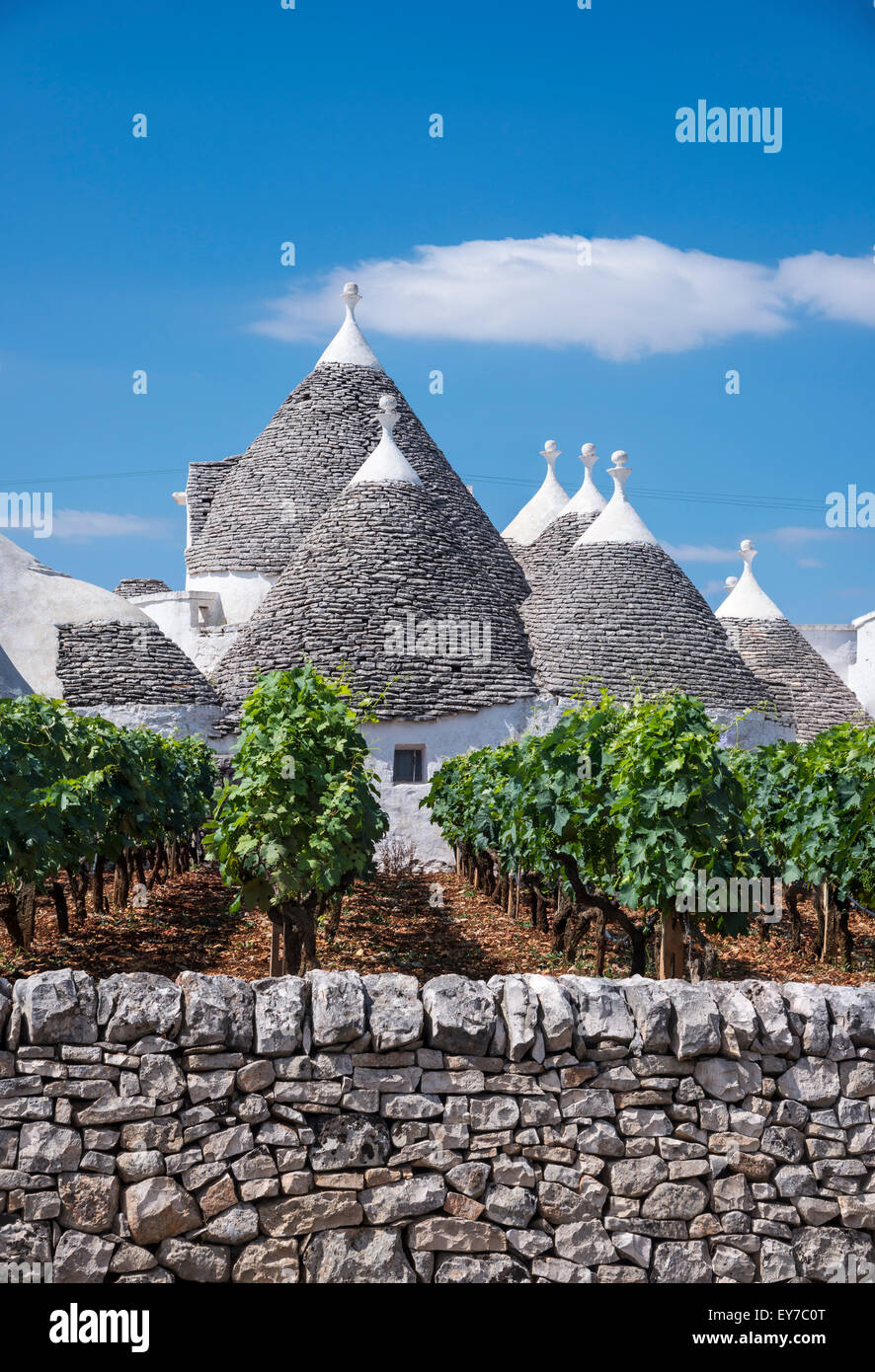 Vines  and trulli between Alberobello and Locorotondo, Puglia, Italy. Stock Photo