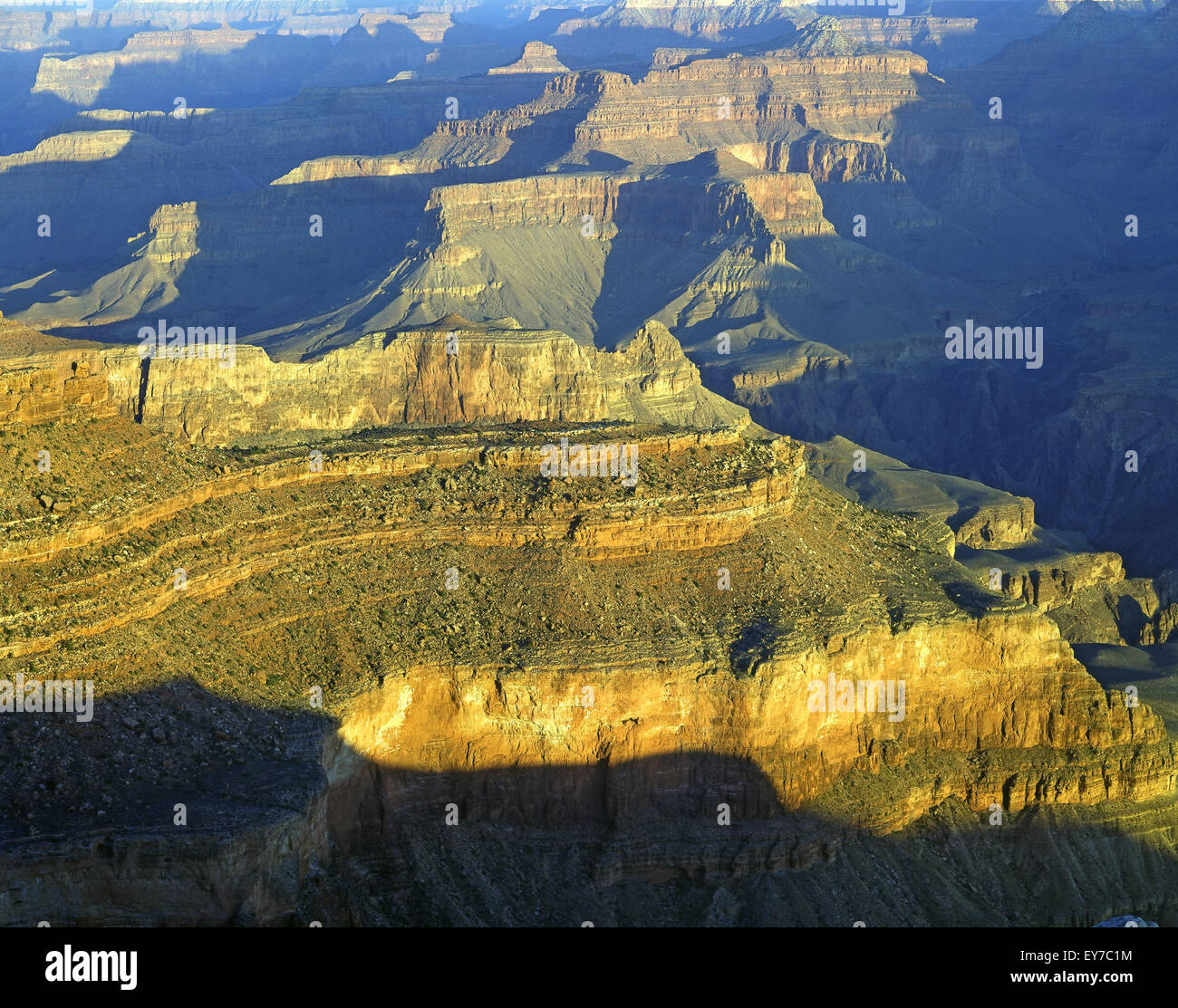 My Image 33