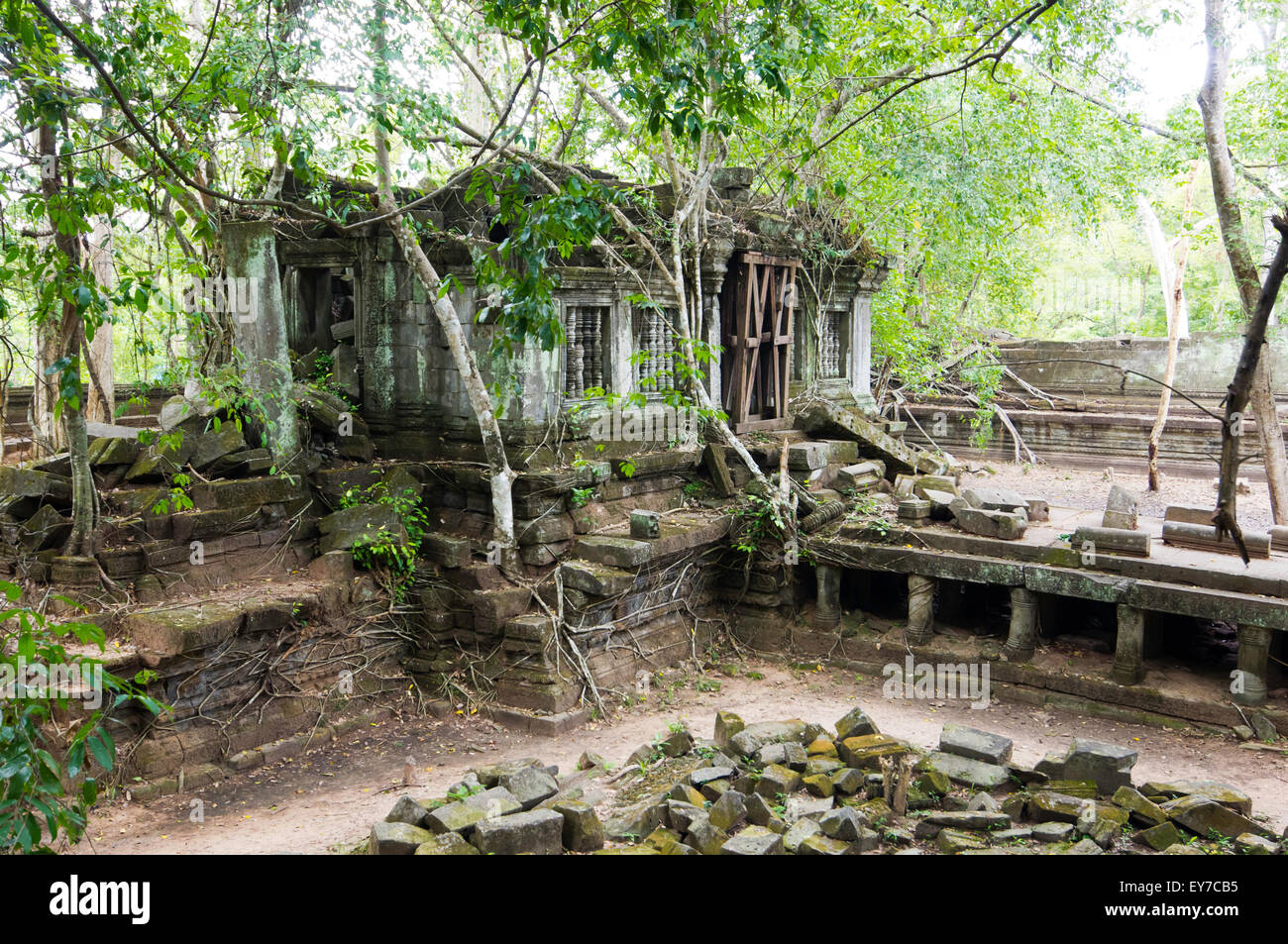 Jungle temple hi-res stock photography and images - Alamy