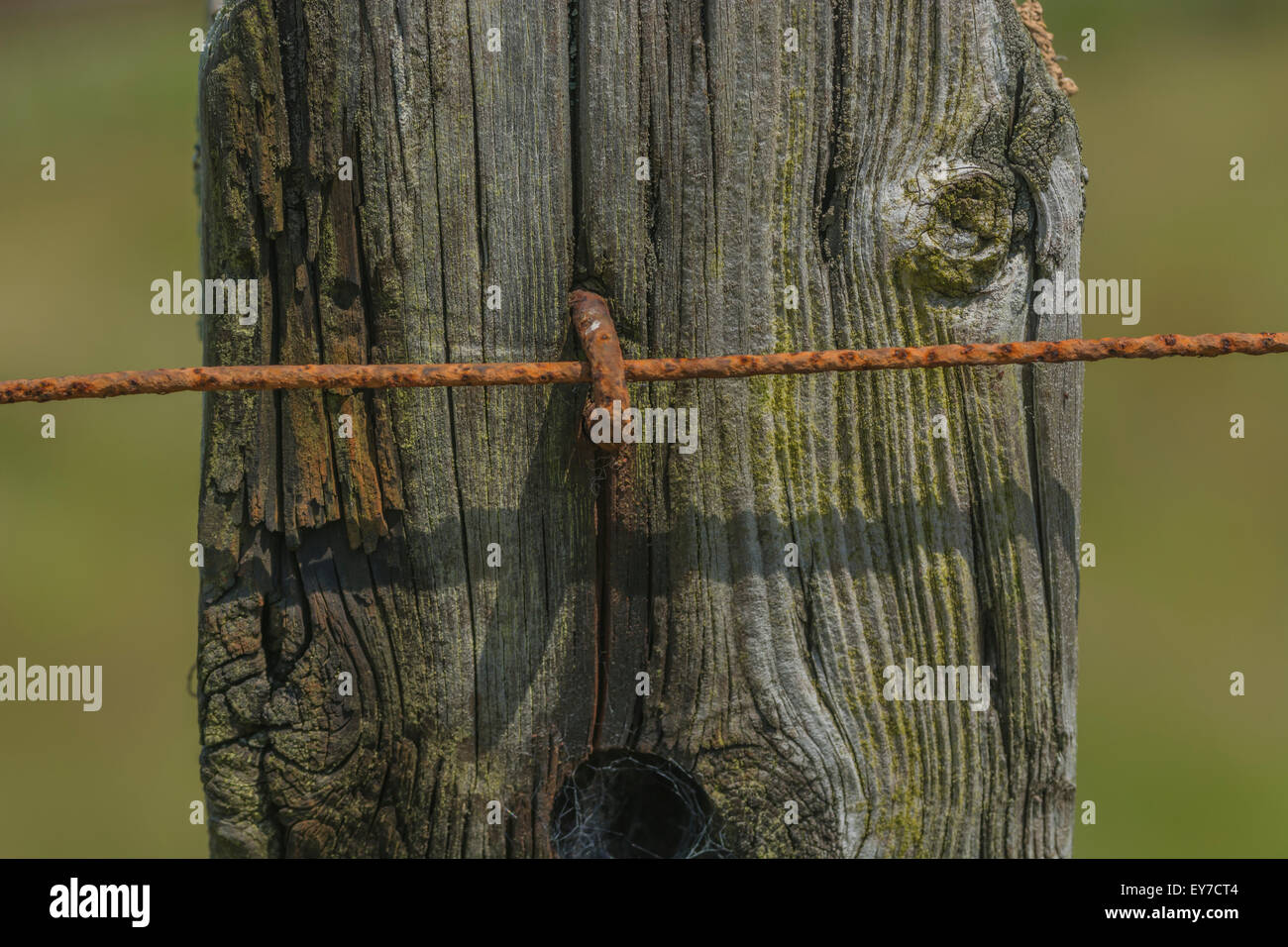 Rusty fencing wire and wooden post. Stock Photo
