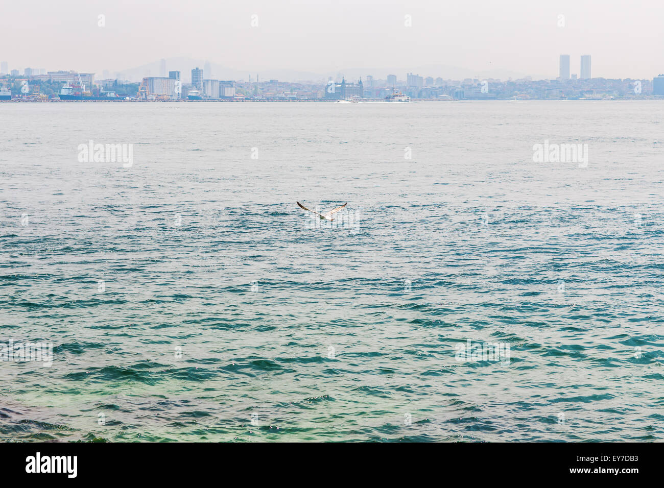 Istanbul and Bosphorus Stock Photo - Alamy