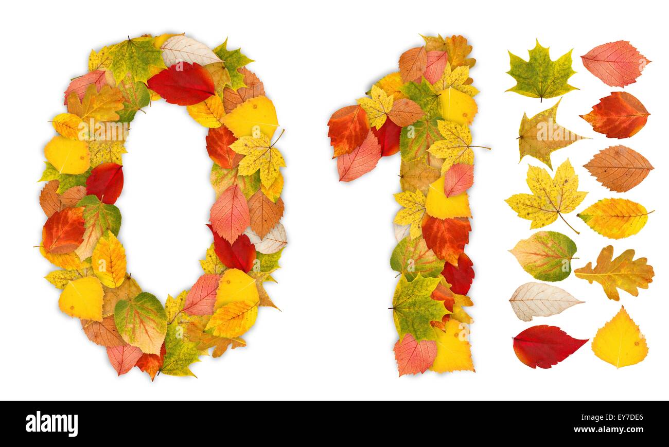Numbers 0 and 1 made of colorful autumn leaves. Standalone design elements attached Stock Photo