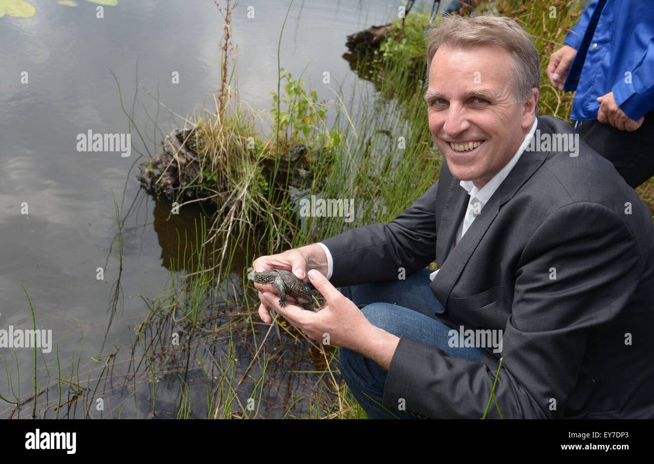 Rehburg-Loccum, Germany. 23rd July, 2015. Lower Saxony's Environment Minister Stefan Wenzel (Buendnis 90/Die Gruenen) releases the first European pond terrapin near the Steinhuder lake in Rehburg-Loccum, Germany, 23 July 2015. The animals will be reintroduced to the wild near Steinhuder Lake. The terrapin is on of the most endangered species in Germany, and is considered extinct in Lower Saxony. NABU has been running a reintroduction project with the Oekologische Schutzstation am Steinhuder Meer (ecologic protection station at Steinhuder lake) since 2013. PETER STEFFEN/DPA/Alamy Live News Stock Photo