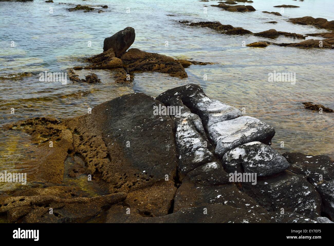 Rocks at the seashore of Thassos Island,Greece Stock Photo - Alamy