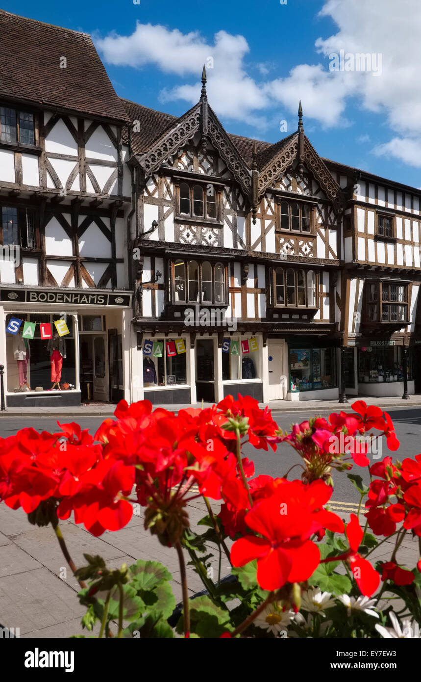 Flowers and halftimbered buildings in Broad Street, Ludlow, Shropshire