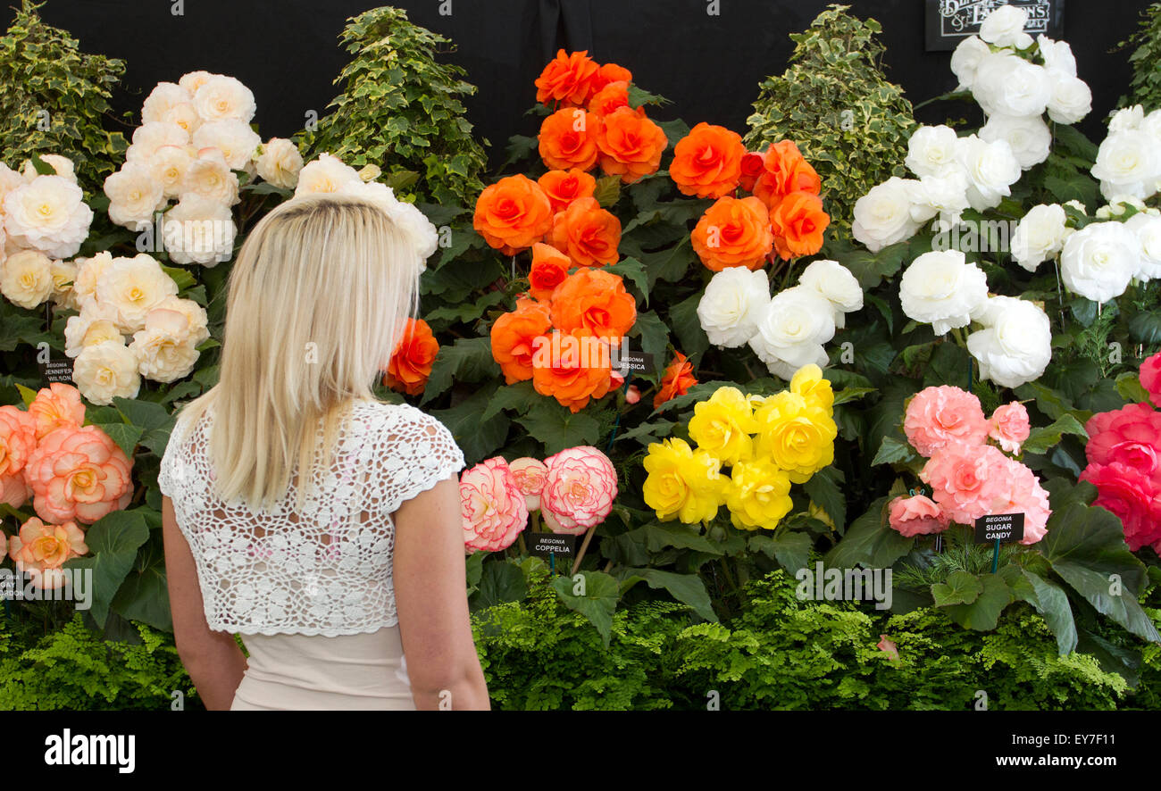 Cheshire, UK. 23rd July, 2015. Ashleigh Edwards, 24 years old from Southport in Merseyside, admiring the award winning display of Begonias presented by Blackmore & Langdon at the 17th annual RHS Tatton Park Flower festival at Tatton Park in Knutsford, Cheshire.  Credit:  Cernan Elias/Alamy Live News Stock Photo