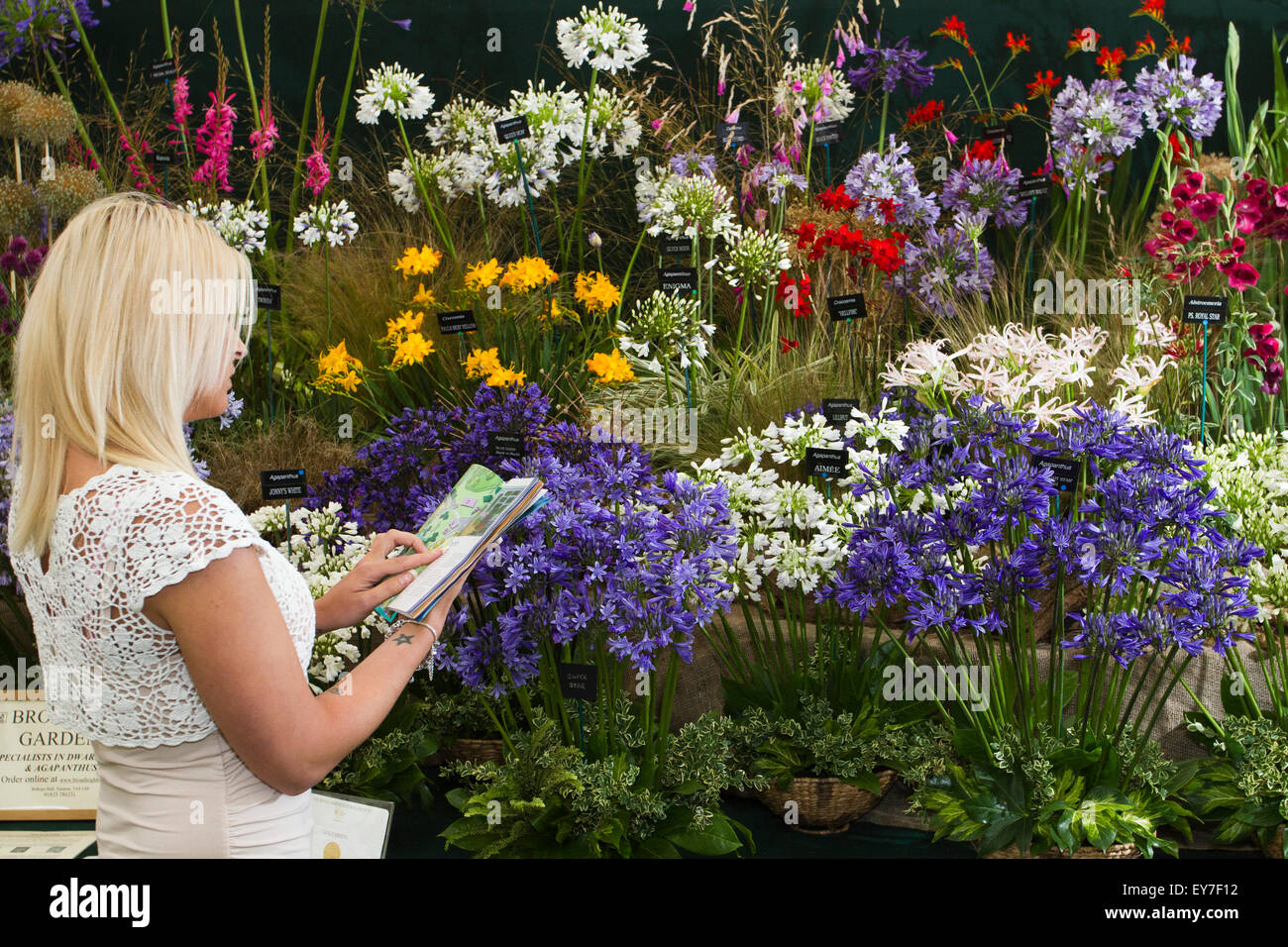Cheshire, UK. 23rd July, 2015. Ashleigh Edwards, 24 years old from Southport in Merseyside, admiring the award winning display of Dwarf bulbs and Agapanthus at the 17th annual RHS Tatton Park Flower festival at Tatton Park in Knutsford, Cheshire.  Credit:  Cernan Elias/Alamy Live News Stock Photo