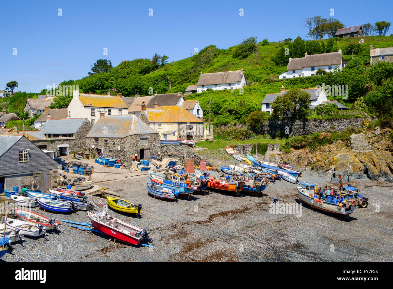 Cadgwith village, Lizard Peninsula, Cornwall, England, UK Stock Photo Alamy